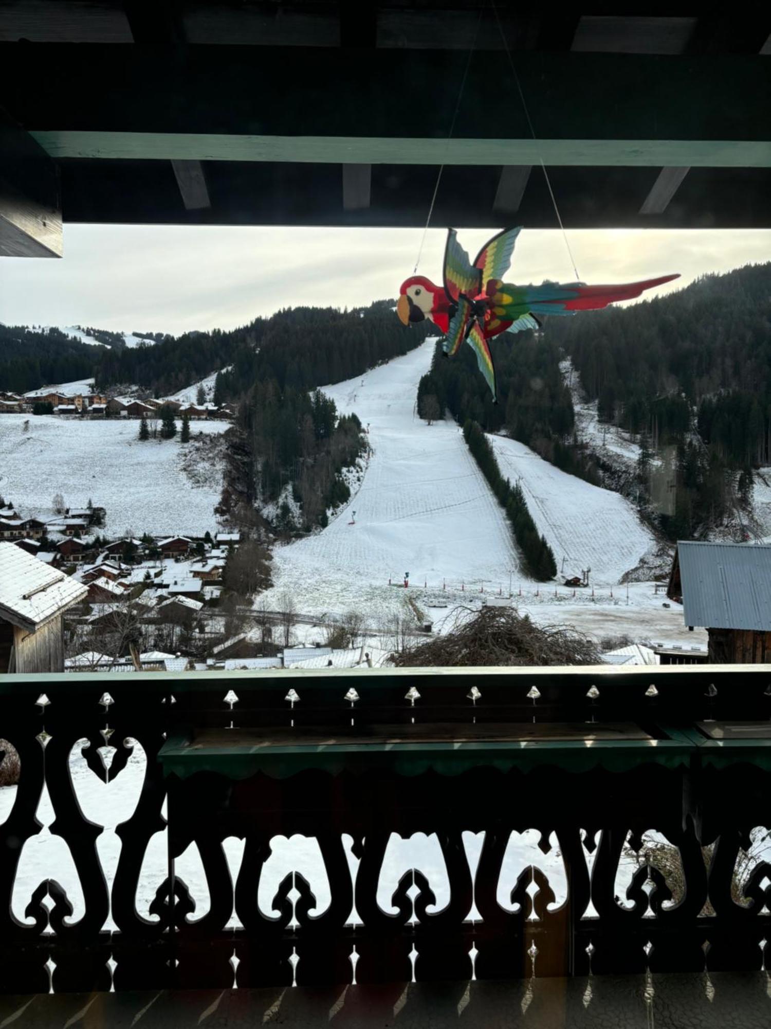 Chalet Fleur Des Alpes لي جيه المظهر الخارجي الصورة